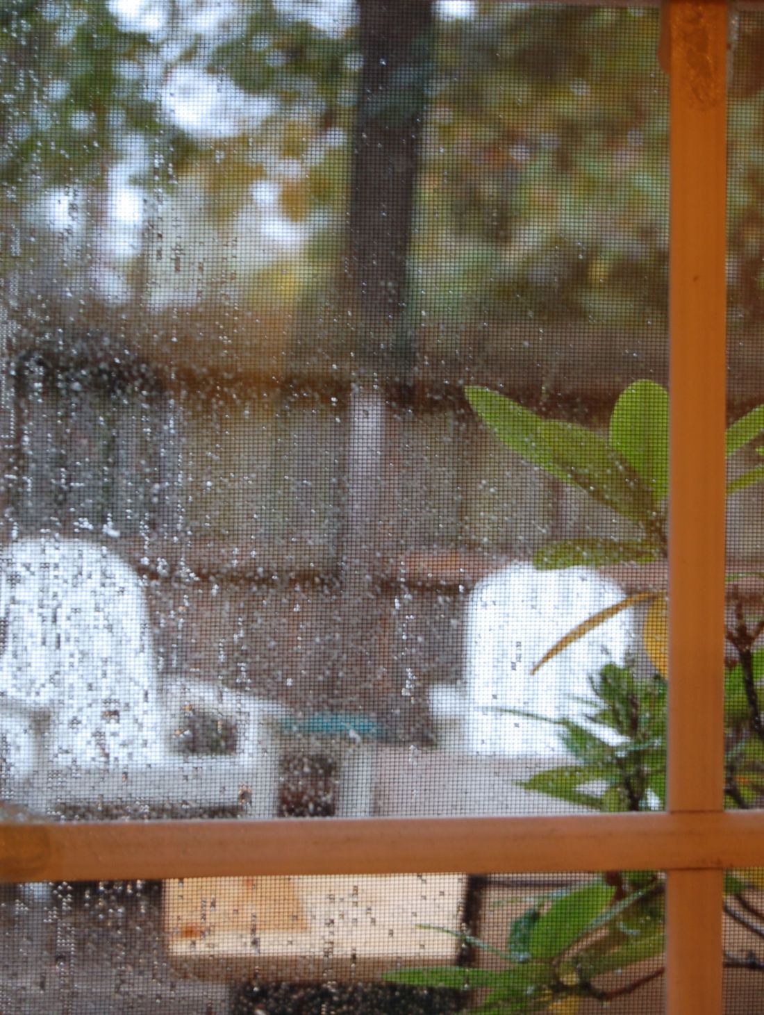 Rainy day by Andrea Badgley on Butterfly Mind